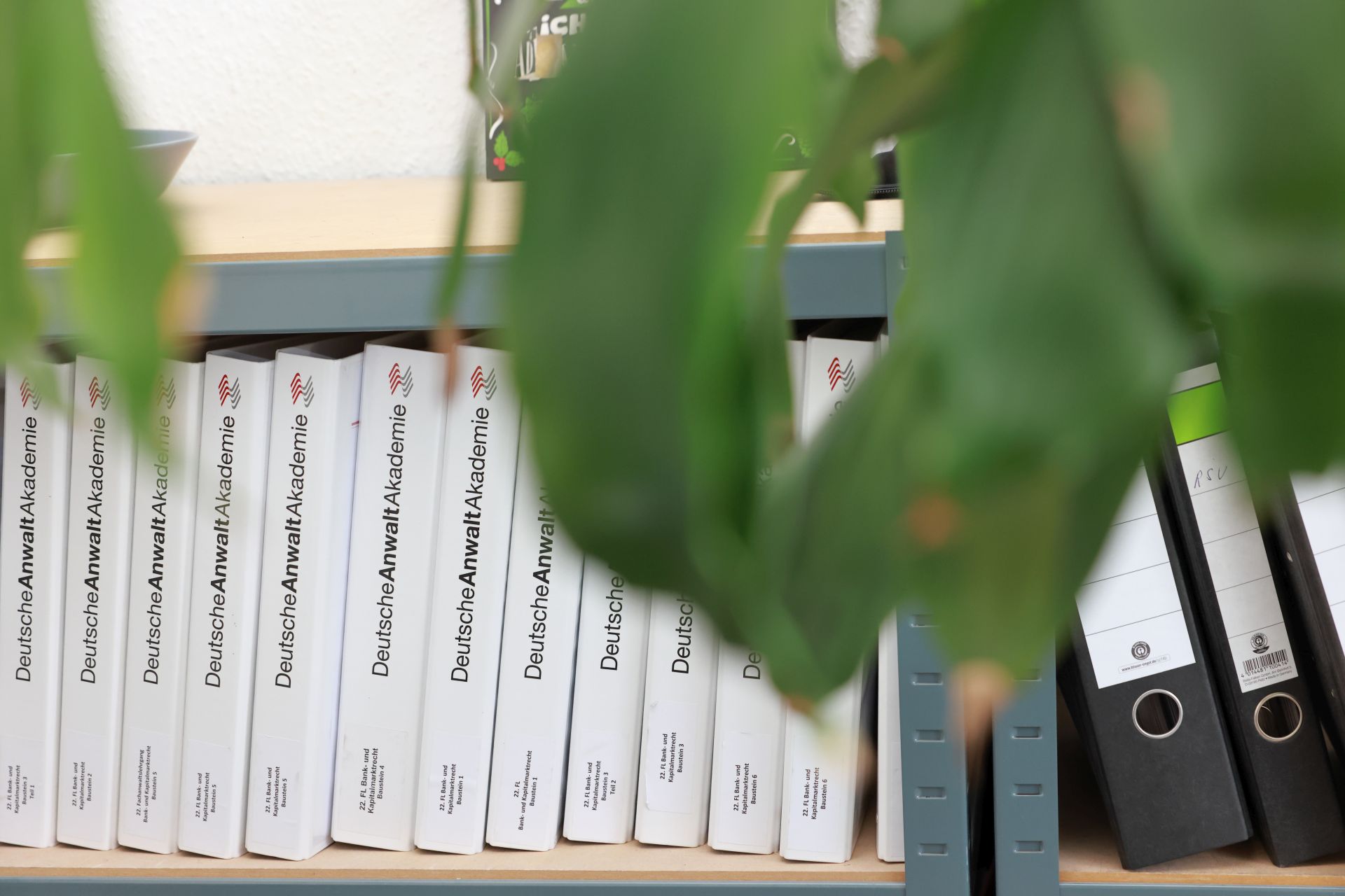 Bücherregal mit rechtlichen Fachbüchern